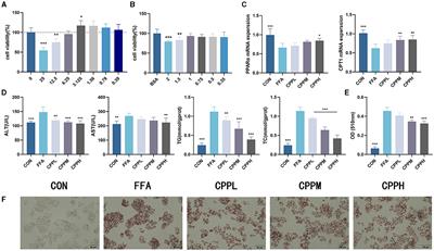 A study on the treatment effects of Crataegus pinnatifida polysaccharide on non-alcoholic fatty liver in mice by modulating gut microbiota